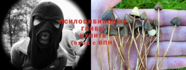 ALPHA PVP Покровск