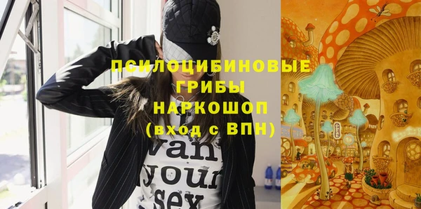 ECSTASY Покров