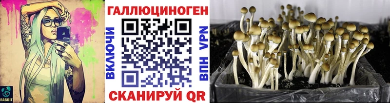 Галлюциногенные грибы мицелий  Урай 